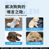 Pañales Personalizados para Mascotas, Pantalones Fisiológicos para Perros Macho y Hembra, Pañales para Gatos, Pañales para Perros Hechos en Fábrica, Pañales para Mascotas