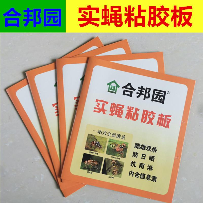 合邦园实蝇板801_副本.jpg