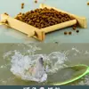 Tongwei Grânulos Flutuantes Ração para Peixes Grânulos Originais para Tanque Pó Iscas para Pesca Selvagem de Carpa Negra Outros Pó Sheng Yue