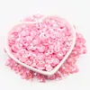 Lentejuelas Cóncavas Flor de Ciruelo Doradas de Brillo Tricidimensionales de 6 mm Materiales Hechos a Mano para Bricolaje Cuentas de Flor de Ciruelo Accesorios Accesorios para Ropa