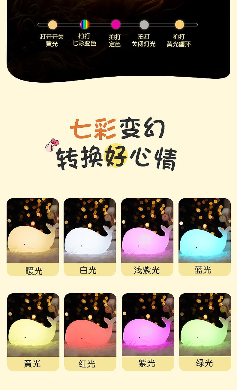 海豚_08