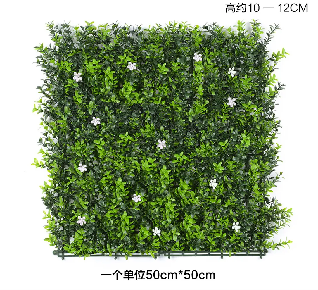 七层金钱草白花