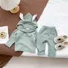 Conjunto de Punto para Bebé Otoño e Invierno para Niños y Niñas, Lindo Conjunto de Dos Piezas de Punto con Capucha de Conejo, Ropa para Recién Nacidos