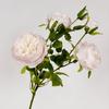 Qualidade transfronteiriça 6 Austin rosa flor artificial flor falsa casa casamento salão de casamento buquê decoração atacado
