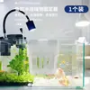 Estante de fijación para plantas hidropónicas de acuario canasta de plantación para colgar en la pared taza de plantación de plantas acuáticas para el hogar decoración de paisajismo de acuario maceta