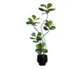 Plantas verdes artificiales de estilo vintage, higuera artificial para la sala de estar, ofreciendo una sensación de lujo ligero y alta gama, plantas verdes artificiales para decoración de interiores