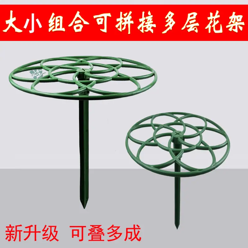大小组合