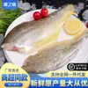 Filé de Peixe Croaker Amarelo Croaker Amarelo Grande Corte Original Croaker Amarelo Congelado Peixe Seco Bife de Croaker Amarelo Fatias de Peixe Sem Espinhas Sem Espinhas Limpo Uso Comercial