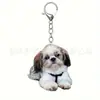Nuevo adorno plano de perro lindo acrílico transfronterizo para coche, accesorio de mochila, decoración del hogar