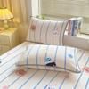 Funda de almohada nueva gruesa de terciopelo de leche de dibujos animados de una pieza resistente a las manchas invierno con forro polar doble dormitorio funda de almohada al por mayor