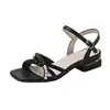 Sandalias de perlas extremadamente elegantes y cómodas para mujer, nuevo modelo de verano 2026, tacón grueso, estilo francés, adecuadas para combinar con vestidos, sandalias de una tira a la moda