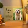 Etsy Más Vendido Retrato de Mascota Placa Conmemorativa Amazon Adornos Decorativos Huella de Pata de Perro Luz Nocturna Regalo Amantes de los Animales