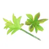 Mini Planta Suculenta Artificial Única Suculenta Falsa Flor Artificial Adorno de Micro Paisaje Oficina Planta Verde Real Artificial Alto