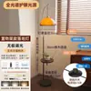 Luminária de chão estilo francês, luz ambiente simples de pôr do sol, luminária de design para sala de estar, luminária de chão de luxo leve para colocar ao lado do sofá