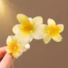 Europa y Estados Unidos clip de flor de huevo transfronterizo clip caliente para el cabello lateral clip de placa trasera para la cabeza clip de tiburón accesorios para el cabello al por mayor