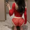 Nueva Ropa Interior Sexy de Encaje y Malla Bordada para Mujer Calzones de Cadera de Talle Bajo Translúcidos de Tentación Sexy