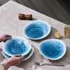 Prato de Petisco Imitando Porcelana em Melamina, Prato para Restaurante de Hot Pot Comercial, Prato Específico para Restaurante, Prato para Pratos Frios, Prato de Salada, Prato para Petiscos Fritos