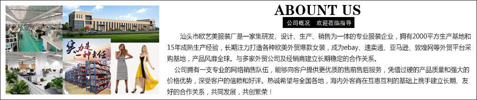 公司简介