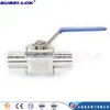 Fornecer válvula de esfera com soquete de solda forjado 2500LB SS316 válvula de esfera com solda SW 1500lb DN25