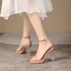Sandalias de Plataforma Impermeables con Tacón de Cristal Transparente de Una Sola Correa Estilo Verano 2026 para Mujer, Modelo de Tacón Súper Alto Estilo Hada Zapatos de Pasarela