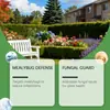 Spray para el Cuidado de Plantas Moonspry Spray Suave de Mantenimiento para Jardinería Exterior en Casa, Conveniente para el Uso Diario