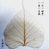 Bodhi Leaf Vein Specimen Folhas Reais Flores Secas diy Materiais Artesanais Zen Acessórios para Janelas Pintura Colagem Marcador