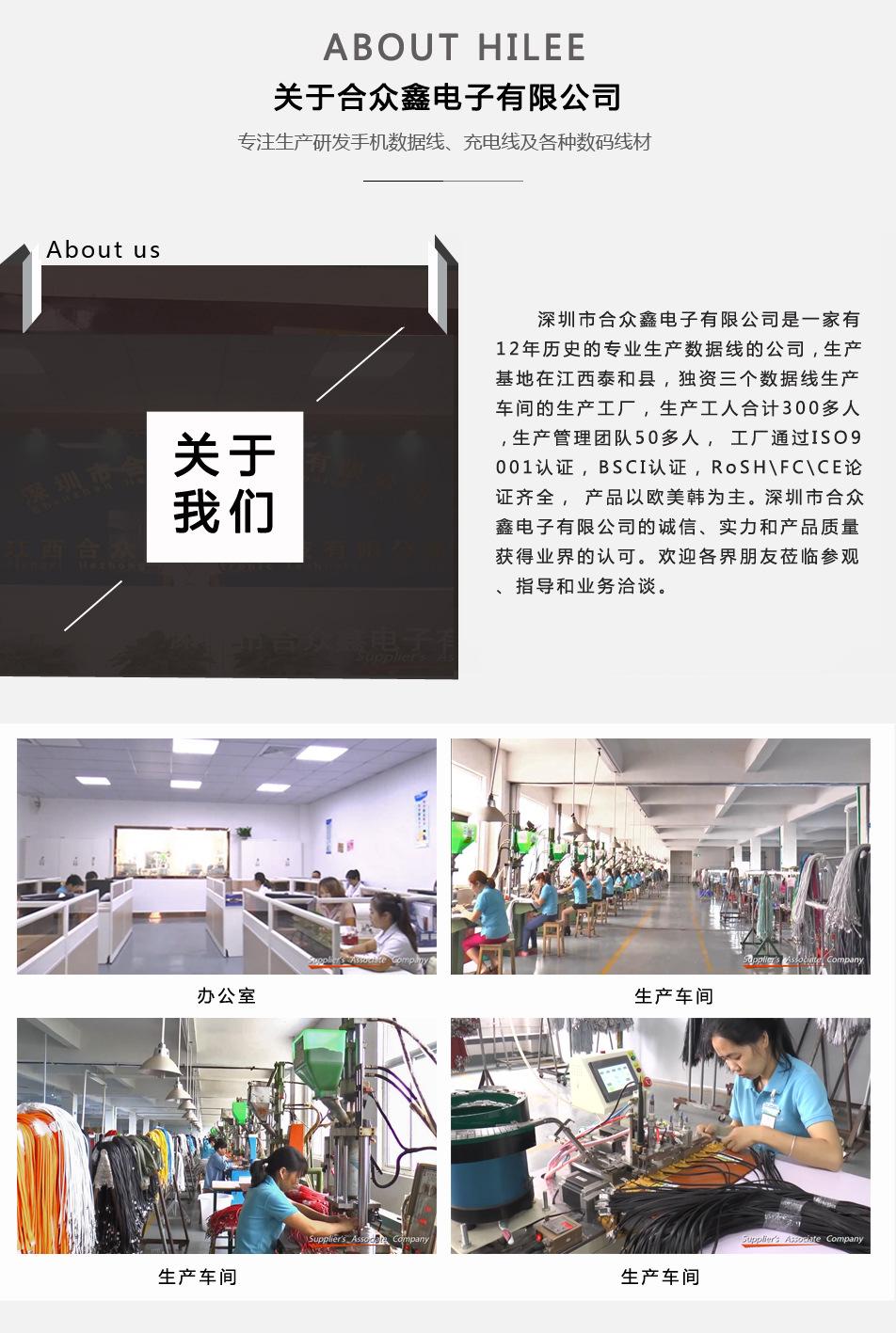 公司介绍