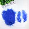 100 Piezas de Puntas de Pluma de Pavo de Colores de Xinjiang, Adecuadas para Manualidades DIY y Rellenar Bolas Bobo