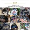 Accesorios para Mascotas: Cascos para Cachorros y Gatos, Gafas para Sesiones de Fotos, Gafas de Sol para Motocicleta para Exteriores, Yorkshire Transfronterizo