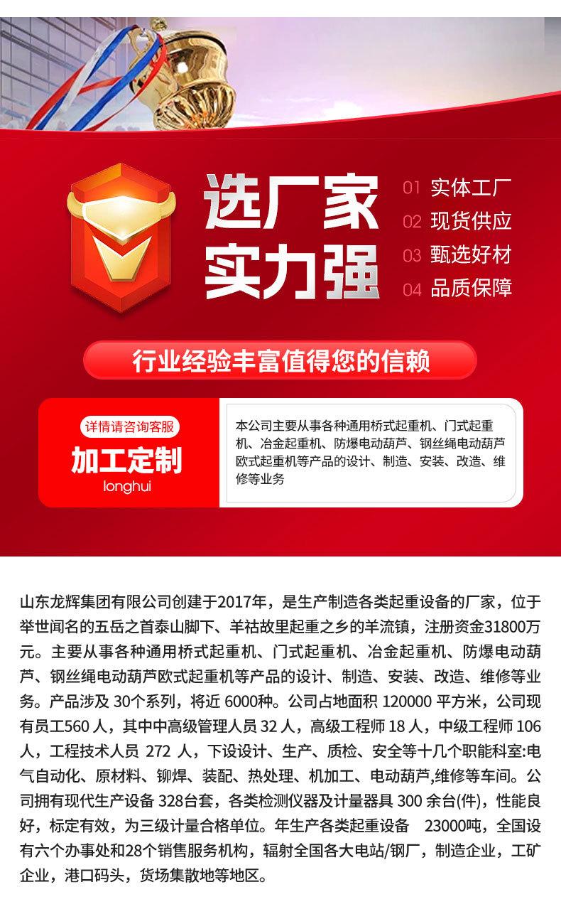 4龙门吊1_15.jpg