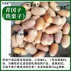 Qinggangzi También conocido como Tiezhuzi Tie Lizi Sombrero de Cerdo Productos secos 500g Material medicinal chino