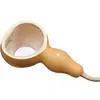Colador de calabaza natural Malla de filtro de té Cuchara de personalidad creativa Set de té Kung Fu Cuchara de té Accesorios para la ceremonia del té