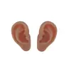 Modelo de Orelha Simulada Feito de 1:1 Escala de Material de Silicone para Testes de Acupuntura e Aparelhos Auditivos