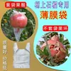 Bolsa de Fruta de Jade Blanco Transpirable a Prueba de Insectos Dulces Bolsa de Película Delgada con Orejas para Drenaje Bolsa Especial para Granada de Semilla Suave Blanca