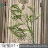 Plantas Verdes de Cor Primária Simulada, Decoração de Capim dos Pampas e Forma de Aspargo para Casamento ao Ar Livre, Conjunto de Arco para Hotel, Arranjo de Flores, Flores de Seda