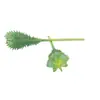 Mini Planta Suculenta Artificial Única Suculenta Falsa Flor Artificial Adorno de Micro Paisaje Oficina Planta Verde Real Artificial Alto