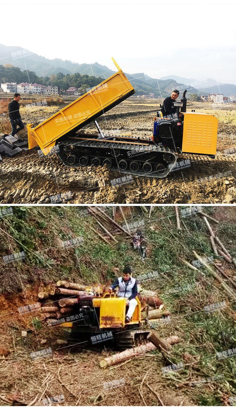 6履带运输车790_10