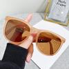 Coleção de Óculos de Sol Dobráveis Óculos de Sol Portáteis da Moda e Tendência Femininos Celebrados na Internet Óculos de Sol Polarizados Masculinos Óculos de Sol Leves para Motorista