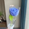 Rosas tejidas a mano terminadas flores artificiales flores tejidas flores hechas a mano diy tejido de lana crochet casero ramo