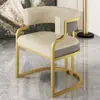 Silla Sofá de Lujo Sencillo para el Hogar Silla de Ocio para Apartamento Pequeño Sala de Estar Sofá Individual Tocador de Dormitorio Silla de Maquillaje