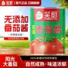 Molho de Tomate Xiaochu Fresco em Lata 850g Lata de Tempero para Cozinha com Conservantes Molho Condimento de Grande Capacidade
