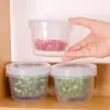 Caja de Almacenamiento con Tapa para Cebolla con Drenaje para Cocina, Caja de Almacenamiento Sellada Compartimentada para Cebolla, Jengibre y Ajo en el Refrigerador