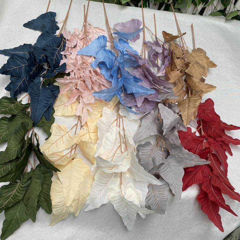 主图3.JPG