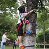 Accesorios de pared de escalada en roca para niños Amazon Explosions con tornillos, amarre para escalada en árboles con puntos de escalada en roca, piedra para escalada en árboles
