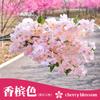 Flor de Cerezo Simulada Encriptada Ramas Ricas de Flor de Cerezo Flores Falsas Flores de Plástico Decoración de Techo Interior Arco de Boda Ramas de Flores Venta al por Mayor