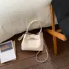 Bolsa de Mão com Fivela de Fechamento de Alta Qualidade, Estilo de Luxo Leve, Bolsa Saco de Ombro Único para Mulheres, Nova Versão Coreana 2026, Bolsa Transversal Casual Versátil