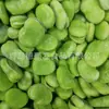 Grãos de fava verde de casca verde, grãos de fava branca de casca branca, grãos de fava inteiros, produtos agrícolas de fava inteira