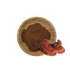 Extracto de Ganoderma Lucidum 10:1 polvo soluble en agua, materia prima de grado alimenticio, extracto de planta en polvo, medicinal y comestible de la misma fuente, disponible con envío gratuito.