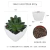 Más de 100 Tipos de Combinaciones de Plantas Suculentas Artificiales en Maceta Mini, Ventas Transfronterizas Populares, Estilo Sencillo Decoración del Hogar Flores Artificiales y Plantas Verdes, Directo de la Fábrica Fuente
