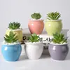 Atacado do Fabricante Vasos de Flores Suculentas de Cerâmica Criativos Macaron Combinação para Casa Design de Vaso de Cerâmica Transfronteiriço Presente Plantas Verdes
